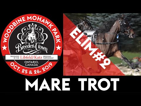 2019 Breeders Crown Elim#2 - Manchego - Mare Trot