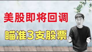 Thumbnail for 美股即将回调！这3支股票，准备买入