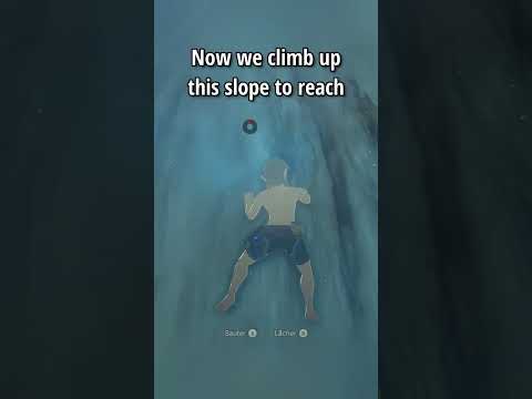 The FASTEST Breath of the Wild Speedrun