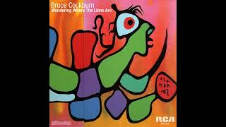 Bruce Cockburn - Wondering Where The Lions Are