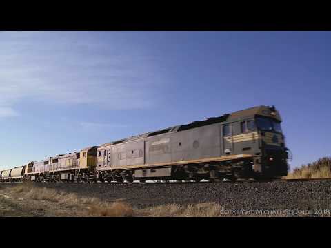 Standard Gauge Grain with G523, X50 & X48- PoathTV Australian Trains & Railways