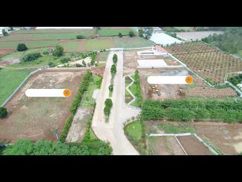 Celebrity Pride Access Project Tour 1