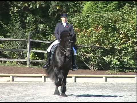 Ulbert 390 Friesian Dressage Stallion - Iron Spring Farm