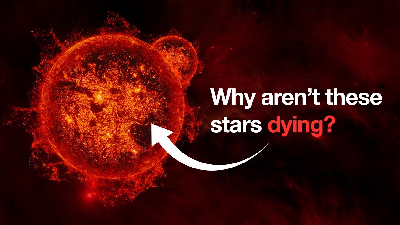 IMMORTAL SUNS: How Dark Matter Could Make Stars Live Forever