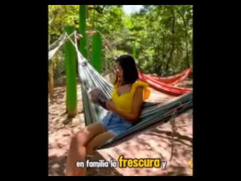 Mangostinos en Nilo Cundinamarca 