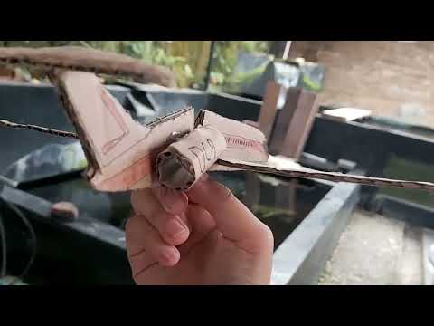 Aerolinee Itavia flight 870 crash