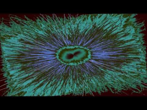 Fransis Derelle x Crystalize x Convex – Feel