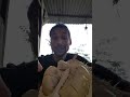 Durian en fruit entier video
