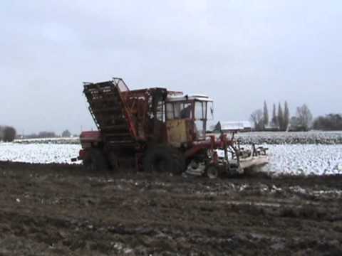 Landbouwer Vergauwe - Lendelede