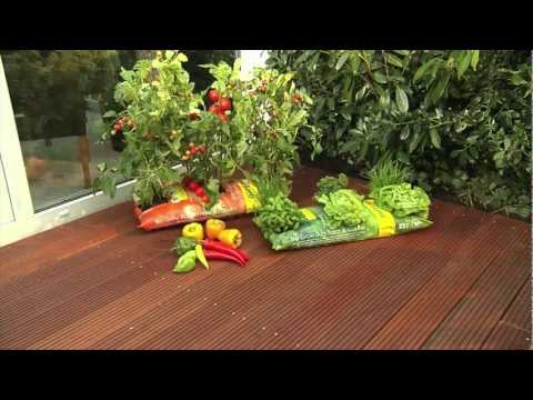 Tomaten und Paprika: Grow Bags für den Balkongärtner
