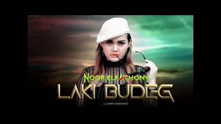Download lagu LAKI BUDEG - NOOR ELFATHONY mp3