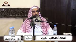 صورة قصة أصحاب الفيل