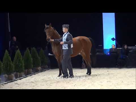 Amarena (Om El Bellissimo - Amiga / Piaff), 7.12.2019