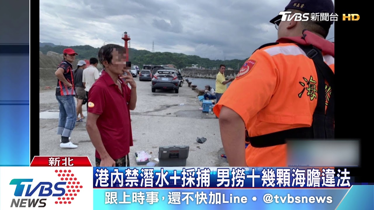 以為豐收! 禁止區浮潛違法採海膽挨罰