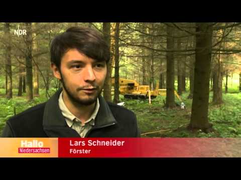 Hallo Niedersachsen Zapfenernte bis in den letzten Wipfel TV 20140829 2158 1342 hq