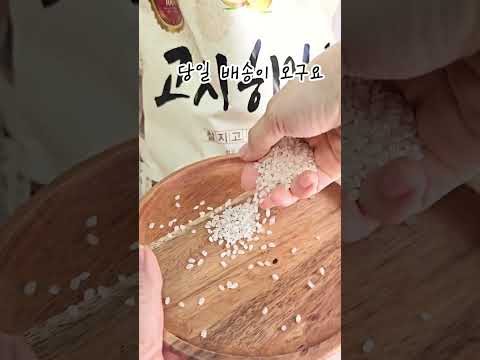 고시히카리 후기 영상