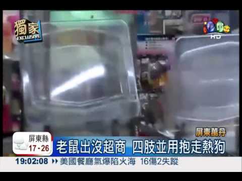 老鼠夜襲超商 抱走整條熱狗