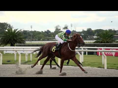 220403 c02 ARROGANTE