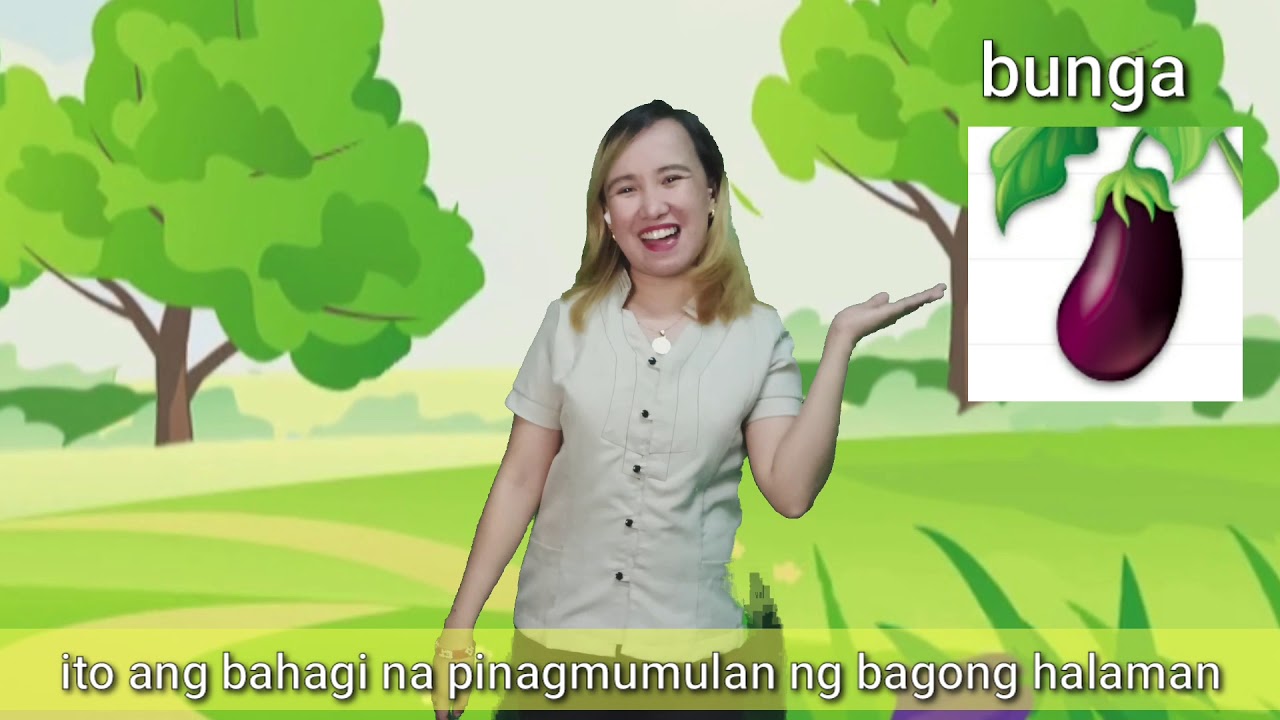 Mga bahagi ng halaman song