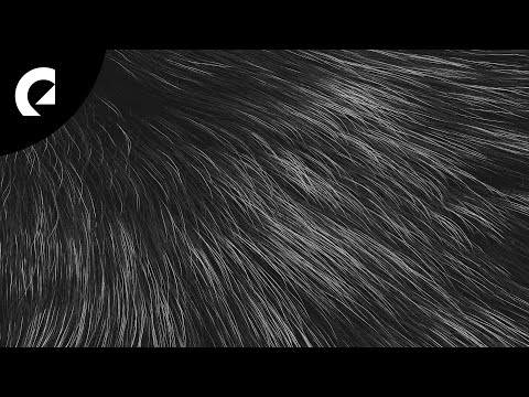 Franz Gordon - Foxear