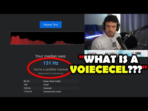 Can TARIK reach a 85Hz deep CHAD voice?