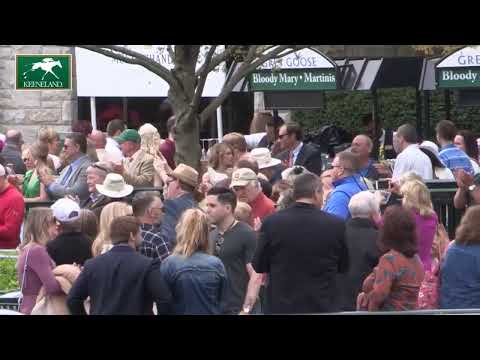 download lagu mp3 mp4 Keeneland Live Stream, download lagu Keeneland Live Stream gratis, unduh video klip Keeneland Live Stream