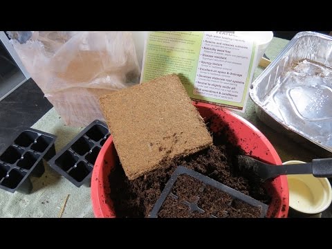 How to Prepare 250 gram Bricks of Coco Coir for Seed Starting: Inexpensive & Effective - TRG 2015