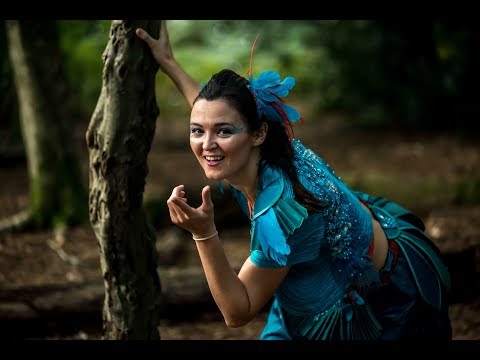 The Lost Words: Told In Gold - The Sill