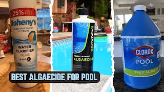 5 Best Swimming Pool Algaecide [ Tested & Reviewed ]