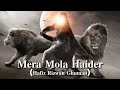 Mera Mola Haider Hafiz Rizwan Ghuman Noha