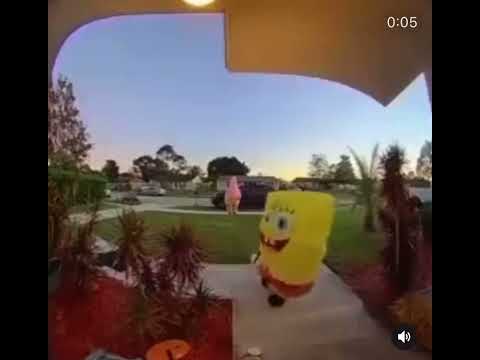 Shut up Patrick shut the