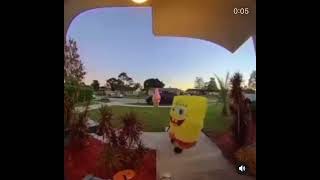 Cover art for Shut up Patrick shut the