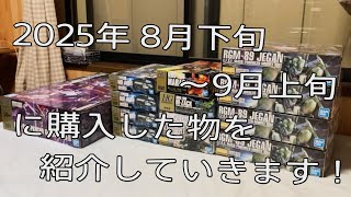 【雑談動画】久々にガンプラ再販品を購入したのでまとめて紹介していきます！(また積みプラが増えた…