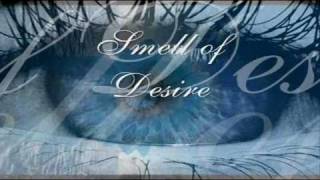 Enigma - Smell of Desire