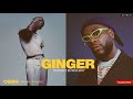 Wizkid - Ginger Feat Burna Boy Best Instrumental Remake + FLP