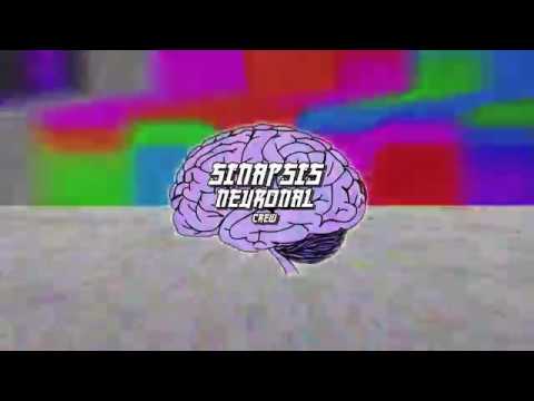 Peluking Snc - Relevium