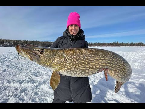 Amazing Giant Fish Fishing Skills in the ice river   Amazing Fastest Fish Catching Net Under Ice