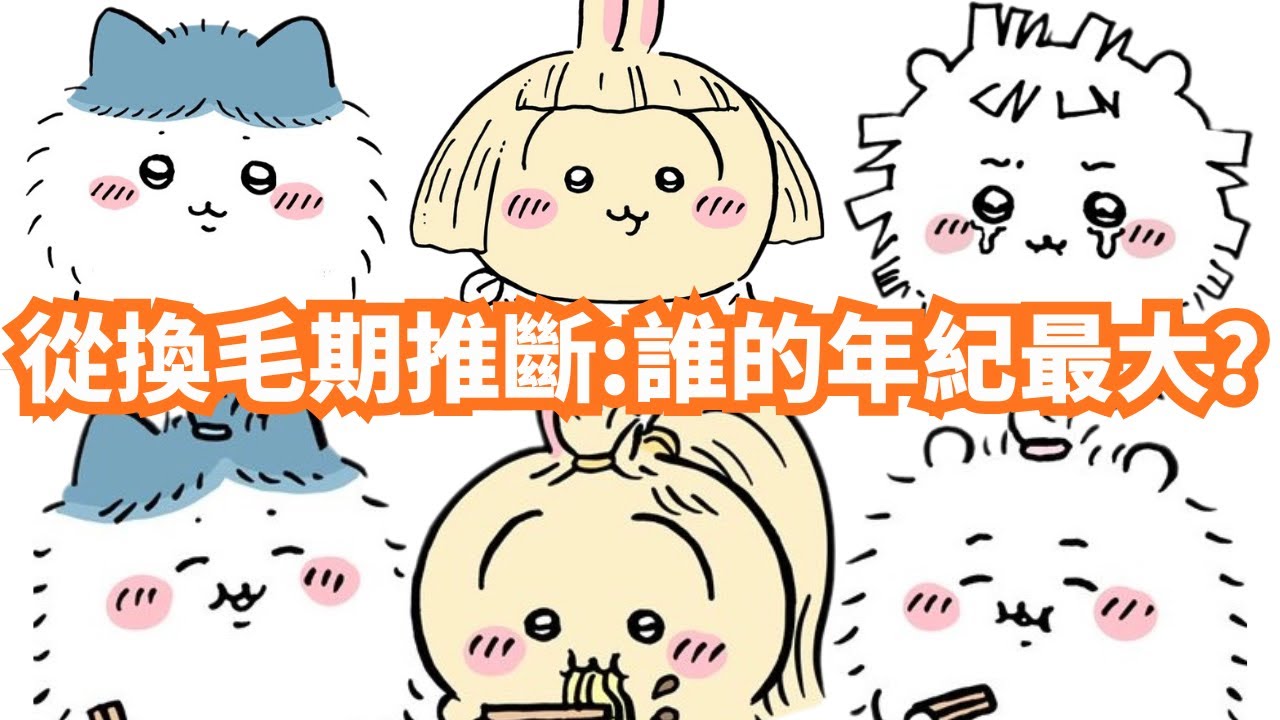 【Chiikawa劇情分析】誰的年紀比較大？考察換毛週期後提出大膽假設！👀  ちいかわ | 吉伊卡哇 | 小可愛 |