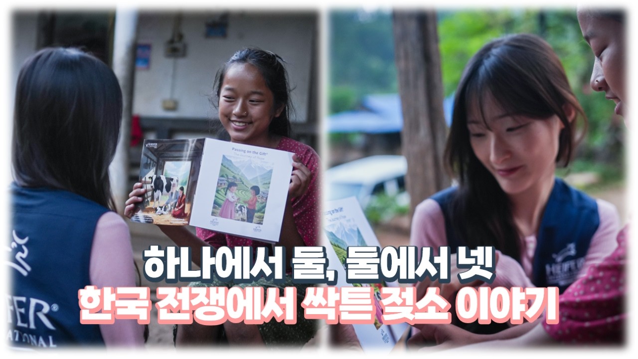 하나에서 둘, 둘에서 넷🐄 한국 전쟁에서 싹튼 젖소 이야기