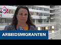 Gekibbel tussen Den Haag en Westland om arbeidsmigranten
