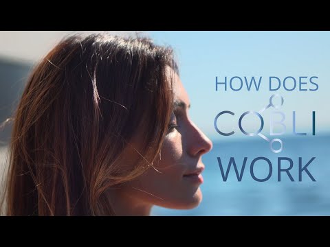 HOW DOES COBLI WORK? Redefining Boat Ownership