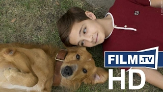 BAILEY - EIN FREUND FUERS LEBEN Trailer German Deutsch (2017) HD video