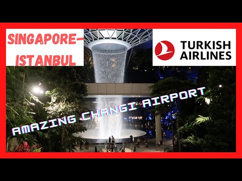 TURKISH Airlines Boeing 777 ECONOMY Class! Singapore to Istanbul - FLIGHT REVIEW