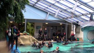 preview picture of video 'Mike Ocean Reports - Indoortauchzentrum Rheinbach'