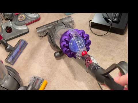 Dyson DC41 Animal Running