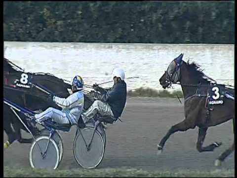 Trotto 21/01/2016 - 3° corsa