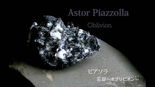 Download lagu Astor Piazzolla Oblivion アストル・ピアソラ 忘却〜オブリビオン〜 mp3