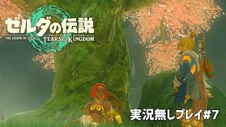 【実況無しVer.】ゼルダの伝説 ティアーズ オブ ザ キングダム#7（Nintendo Switch）～Dr.ねこじゃらしのノンレトロゲームの丸かじり～【26口目】