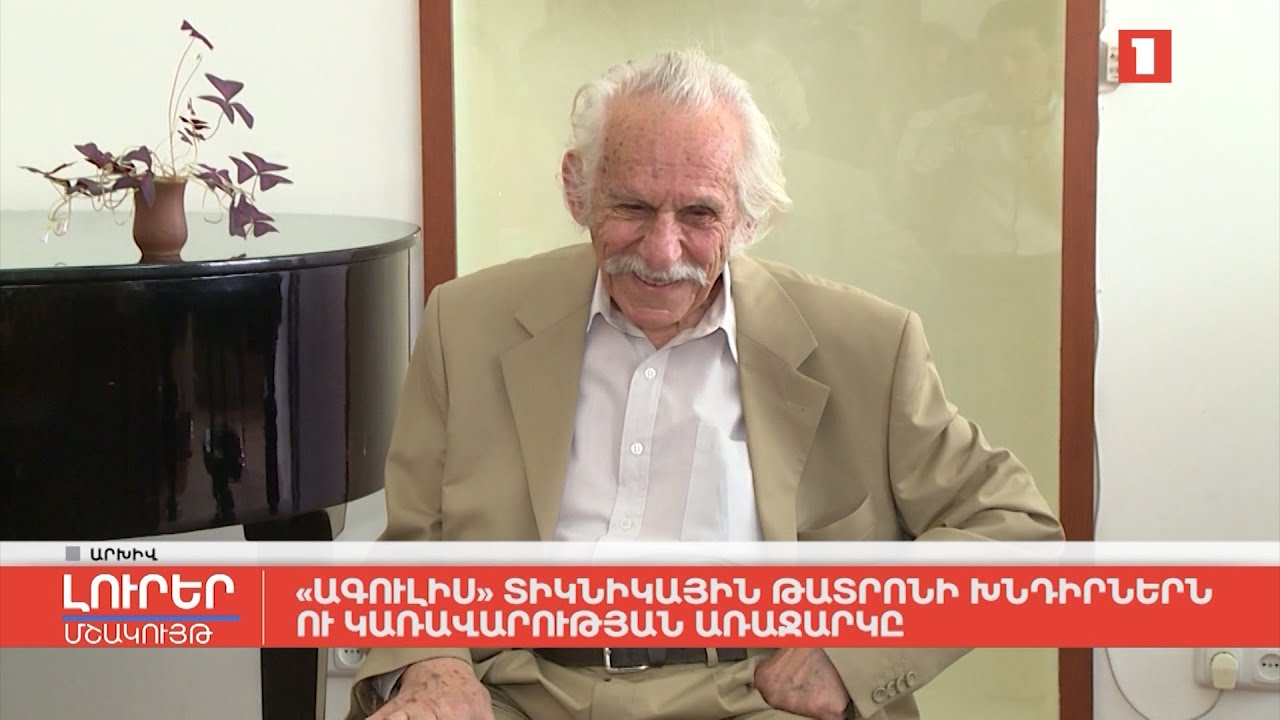 «Ագուլիս» տիկնիկային թատրոնի խնդիրներն ու Կառավարության առաջարկը