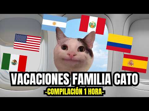 VACACIONES FAMILIA CATO , compilación de 1 hora (meme de gatos)
